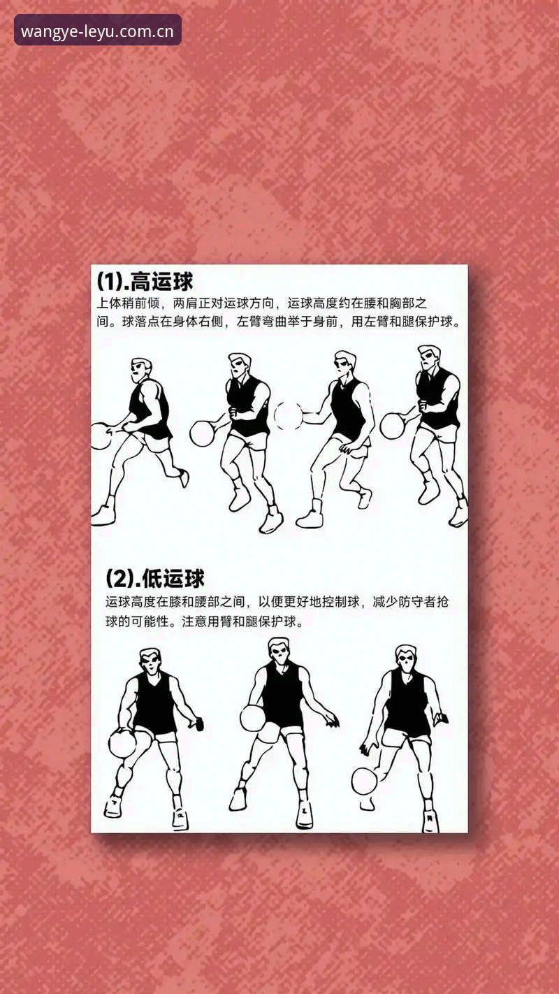 乐鱼全站网页版登录入口篮球数据使用技巧详解
